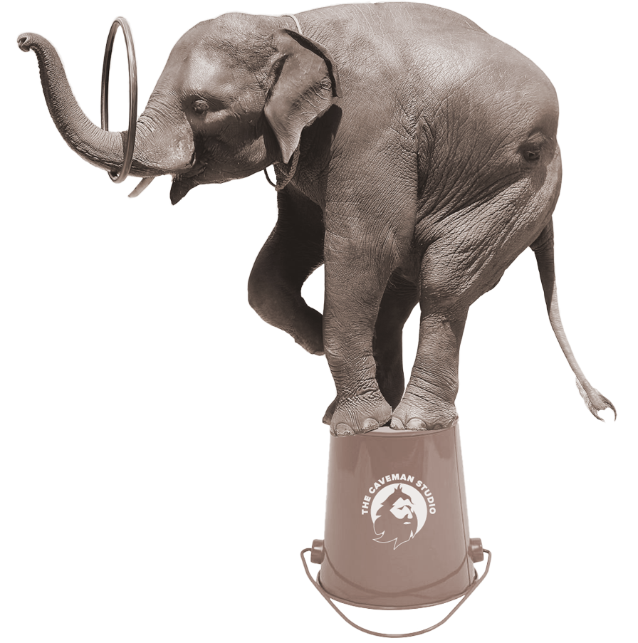 Elephant standing on a bucket